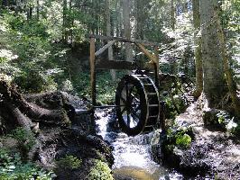 Zauberwald-Pfad Bernau: Wasserrad