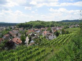 Burg auf dem Seelenberg