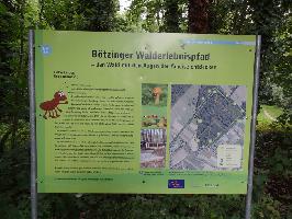 Walderlebnispfad Erlenschachenwald Btzingen