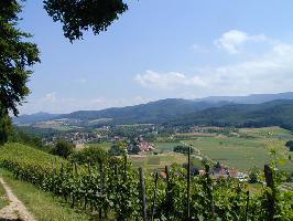 Breisgau (Region) » Bild 28