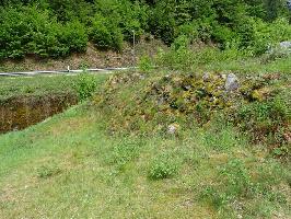 Staudamm Lehrpfad Birchiburg