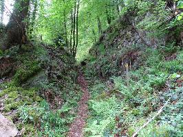 Lehrpfad Birchiburg: Verhau