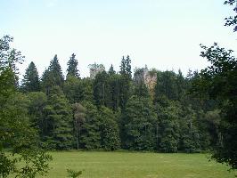 Burg Roggenbach