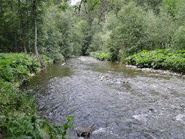 Tannegger Wasserfall: Wutach