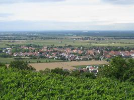 Oberrimsingen