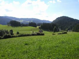 Naturschutzgebiet Dreherhofmoor