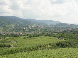 Carl-Netter-Aussichtsturm: Blick Nordschwarzwald