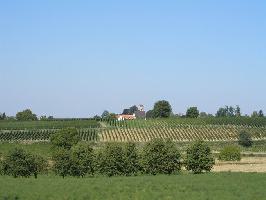 Betberg