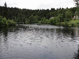 Klosterweiher Horbach