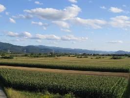 Herrenwegbrcke: Blick Schauinsland