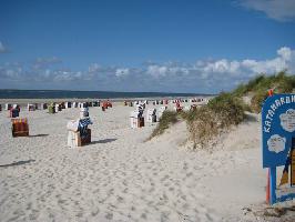 Strandkrbe Amrum