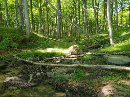 Nationalpark Jasmund