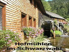 Hofmhlen