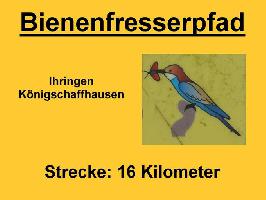 Bienenfresserpfad