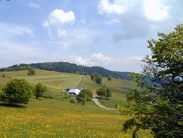 Freiburg im Breisgau » Bild 93