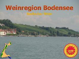 Badischer Wein: Weinregion Bodensee