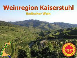 Badischer Wein: Weinregion Kaiserstuhl