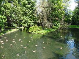 Frstlich Frstenbergischer Park Donaueschingen: Elisabethen Insel