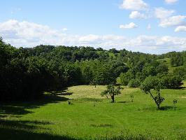 Wstung Berghausen Ebringen