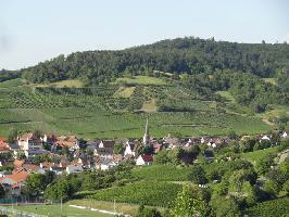 Ebringen im Breisgau » Bild 58