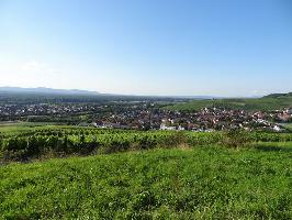 Ebringen im Breisgau » Bild 27