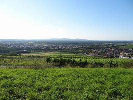 Drrenberg Ebringen: Westblick