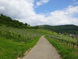 Hammerstdleweg Ebringen