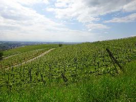 Aussichtspunkt Hammerstdleweg: Westblick