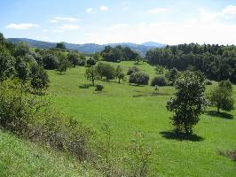 Naturschutzgebiet Berghauser Matten