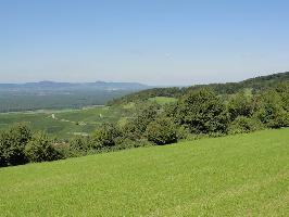 Naturschutzgebiet Berghauser Matten: Blick Bohl