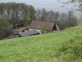 Oberer Schnberghof Ebringen