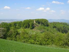 Ruine Schneeburg