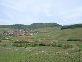 Ebringen im Breisgau » Bild 13