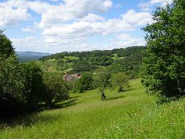 Schnbergstrae Ebringen: Blick Bohl