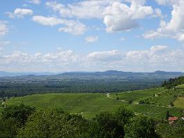 Schnbergstrae Ebringen: Kaiserstuhl