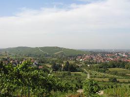 Sommerberg Ebringen: Blick Batzenberg