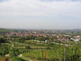 Sommerberg Ebringen: Blick Wolfenweiler