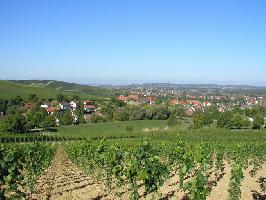 Winterberg Ebringen: Blick Batzenberg