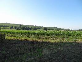 Brenstrae Ehrenkirchen: Blick Batzenberg