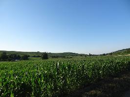 Brenstrae