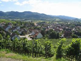 Ehrenstetten im sdlichen Breisgau » Bild 7