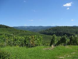 Kirchberg Ehrenkirchen: Schauinsland