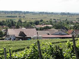 Kirchberg Ehrenkirchen: Winzerkeller