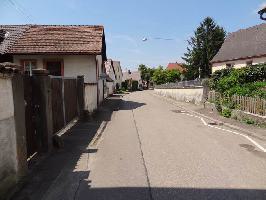 Scherzingen am Batzenberg » Bild 10