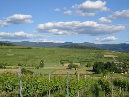 Weinlage