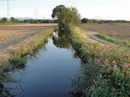 Eichstetten am Kaiserstuhl » Bild 5