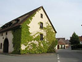 Eichstetten am Kaiserstuhl » Bild 30