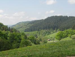 Landwasser Oberprechtal