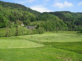 Oberprechtal: Im Kohler