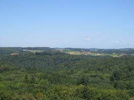 Forst  beim Tennenbacher Tal